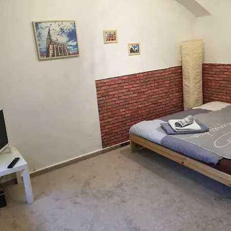 Perfectly Located Old Apartment Plzen